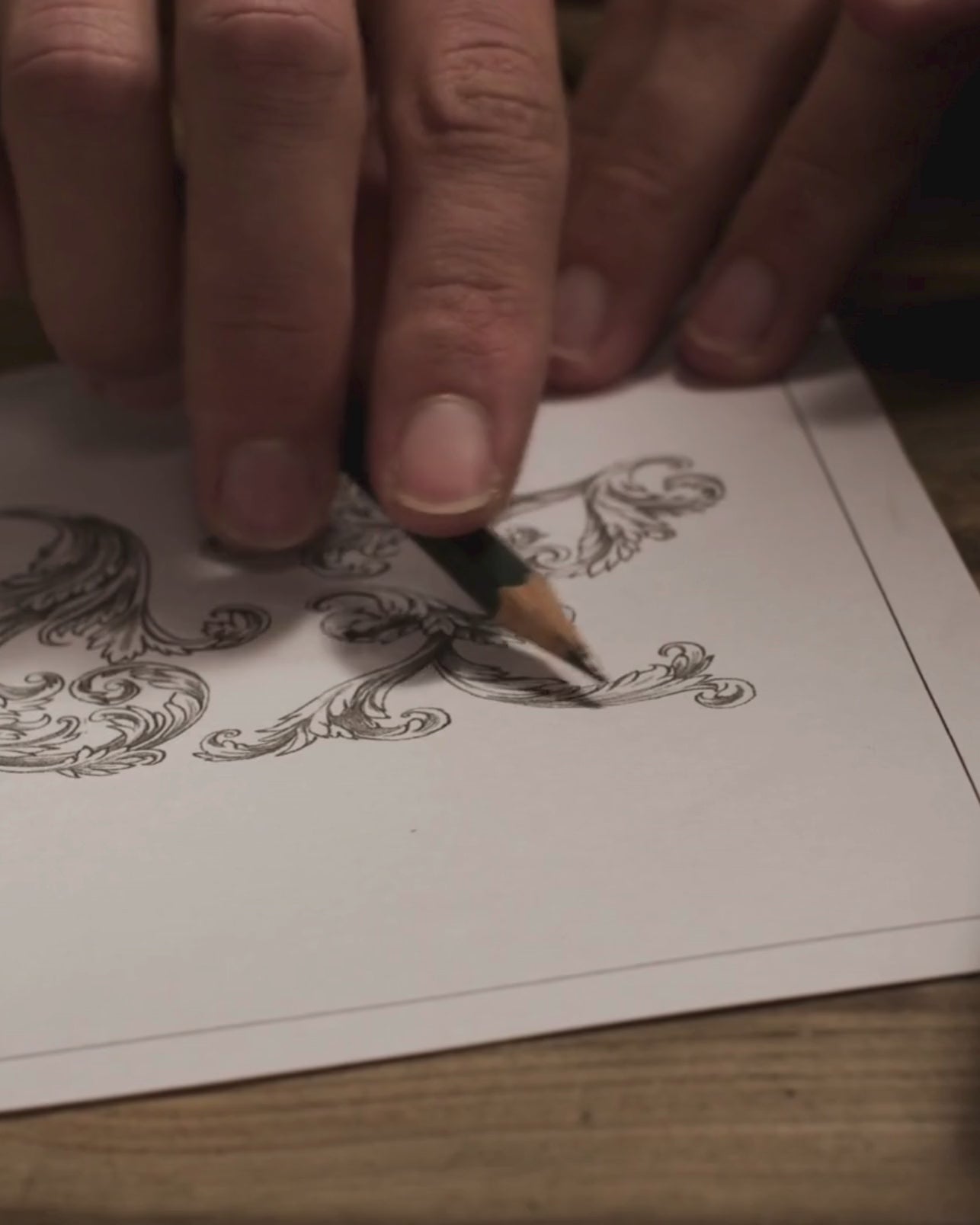 video drawings presentation nereide acquaforte